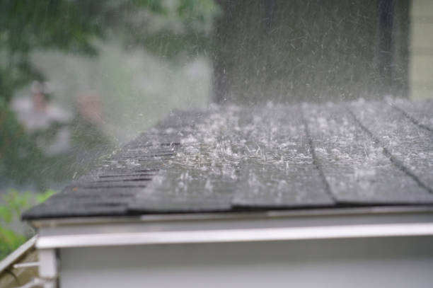Best Roof Moss and Algae Removal  in Reynoldsville, PA
